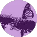 Allison O'Sullivan Avatar